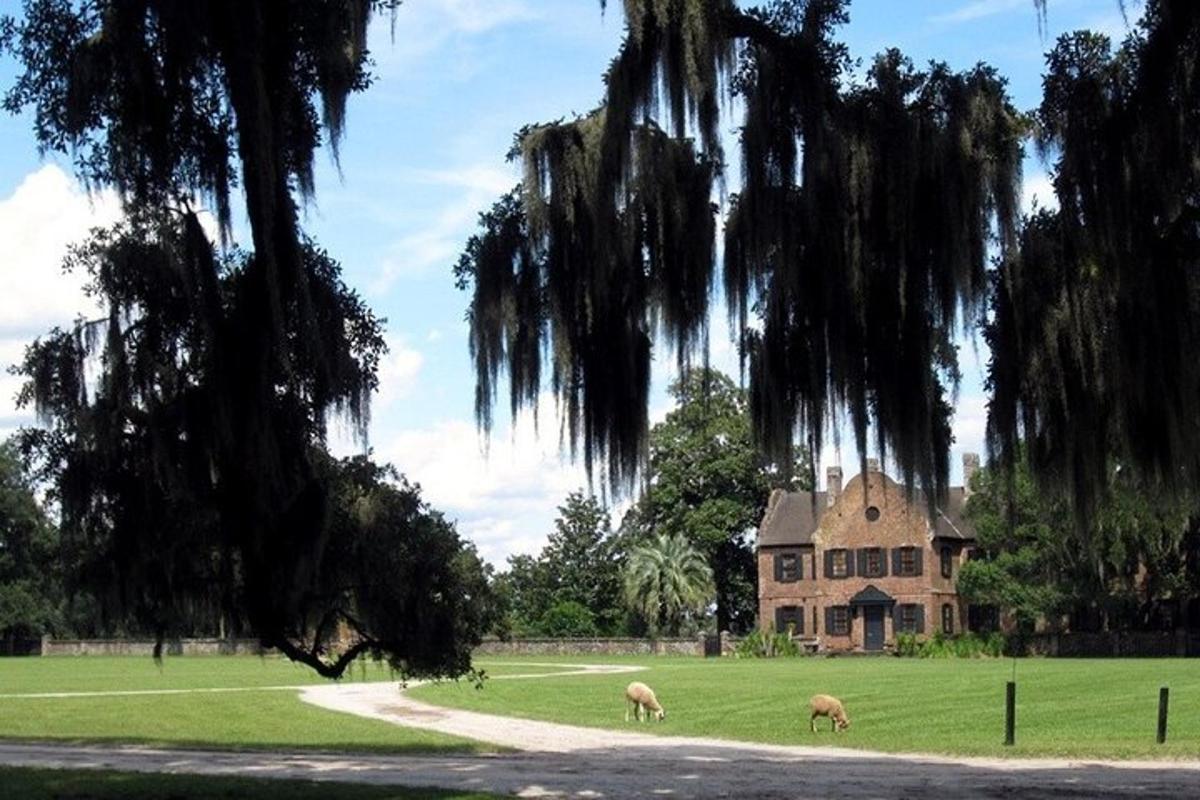 a farm with sheep grazing in a field with a house