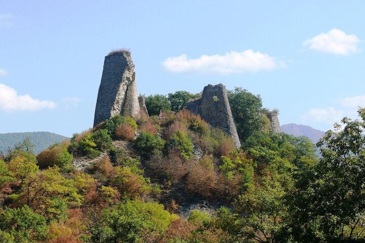 starý hrad na vrcholu kopce se stromy