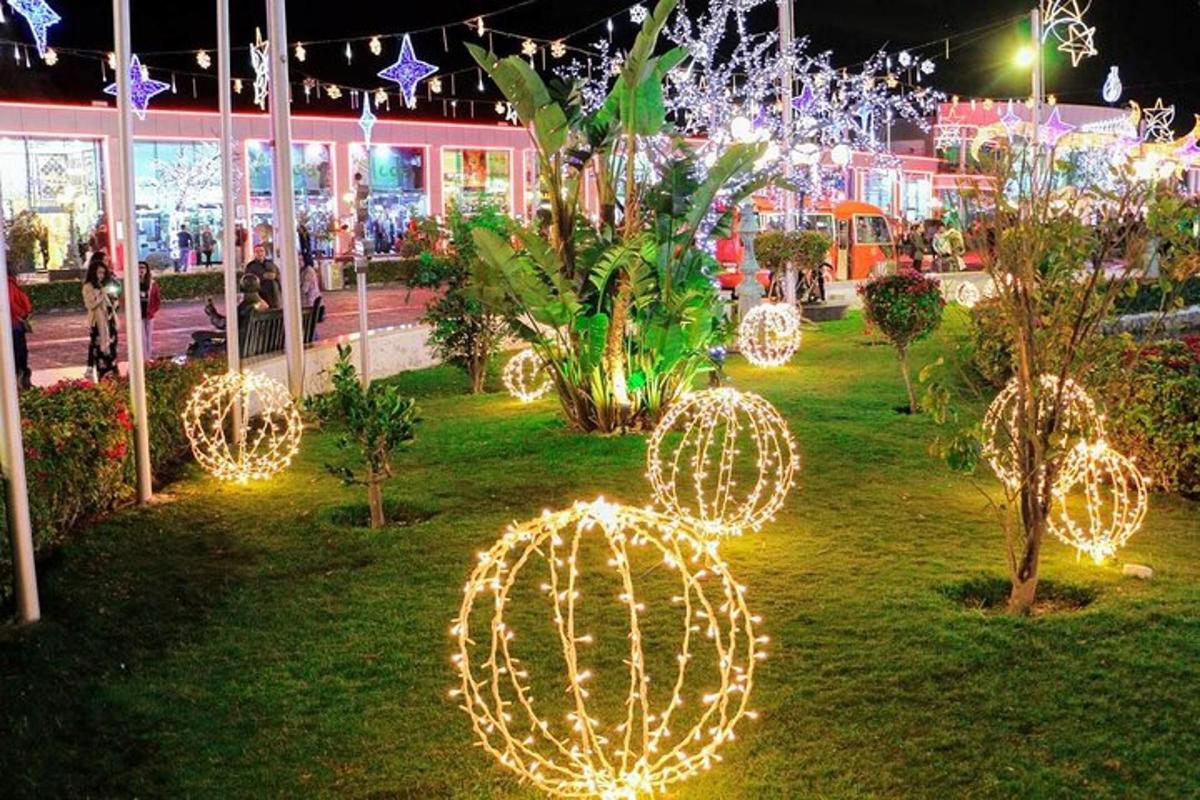 ein Garten mit Weihnachtsbeleuchtung im Gras