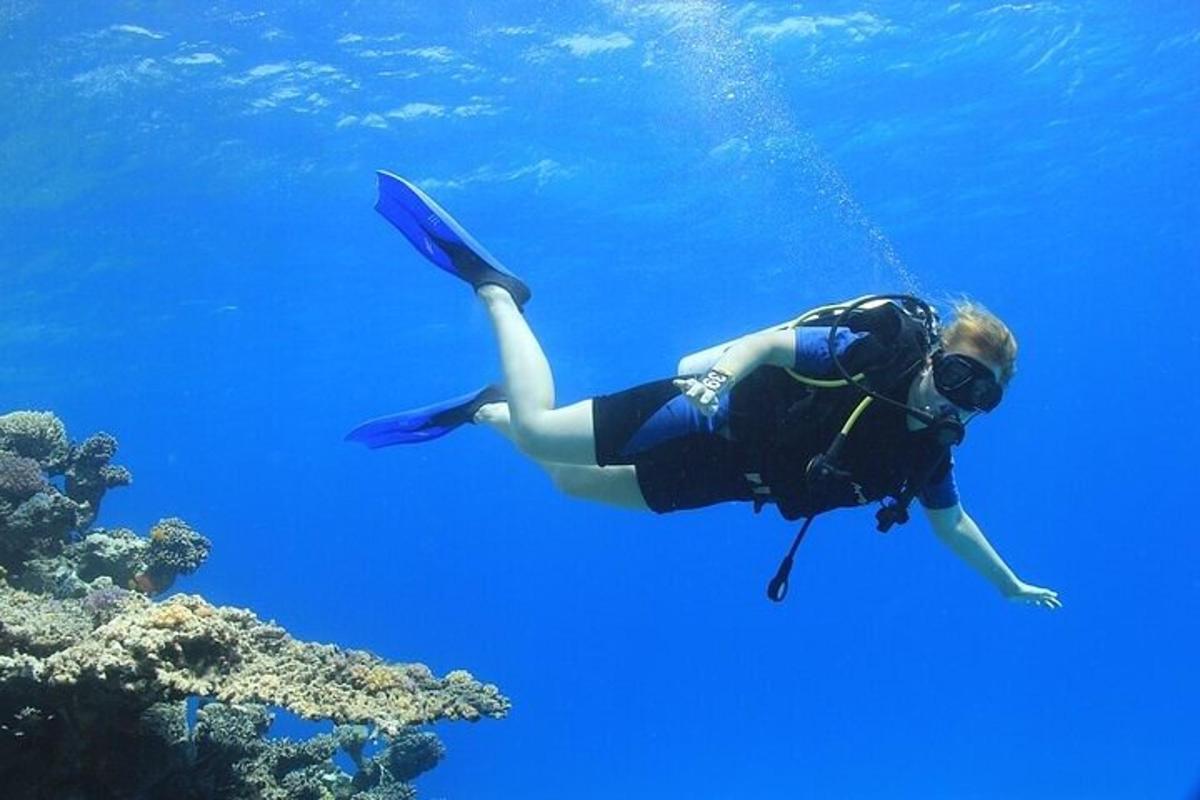 člověk plave v oceánu poblíž útesů