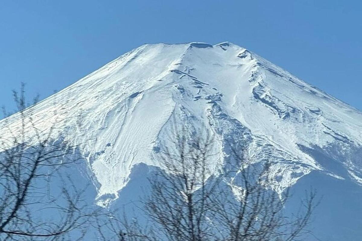 una montagna coperta di neve con alberi di fronte