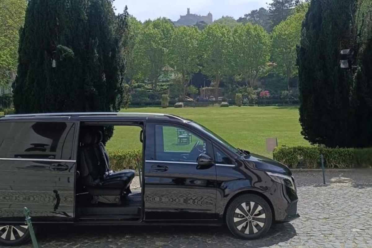 a small car parked in a park with its door open