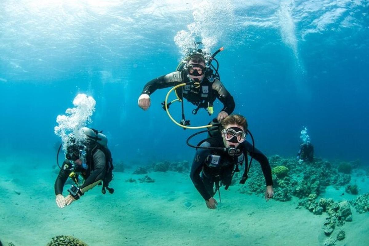 a group of people swimming in the water