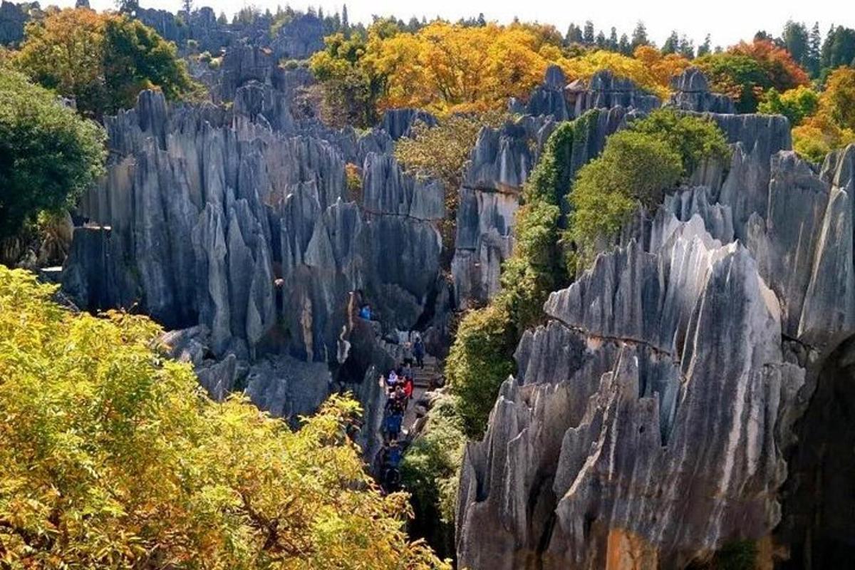a view of a canyon with trees and rocks
