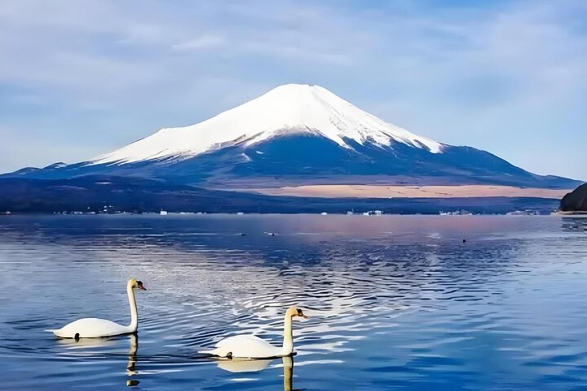 два лабудова у води са планином у позадини