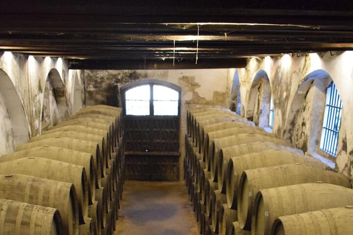 a row of empty wine barrels in a room with a window