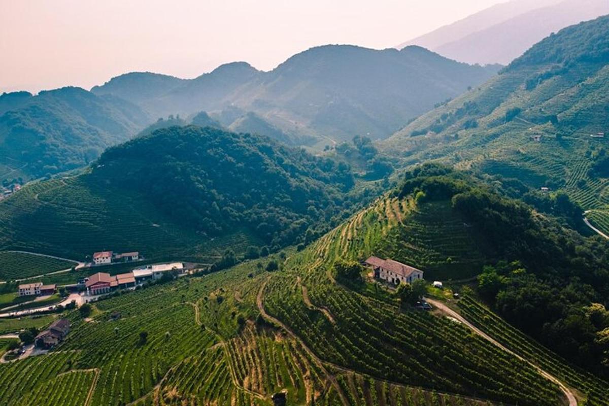 uma vista aérea de uma fazenda em uma montanha