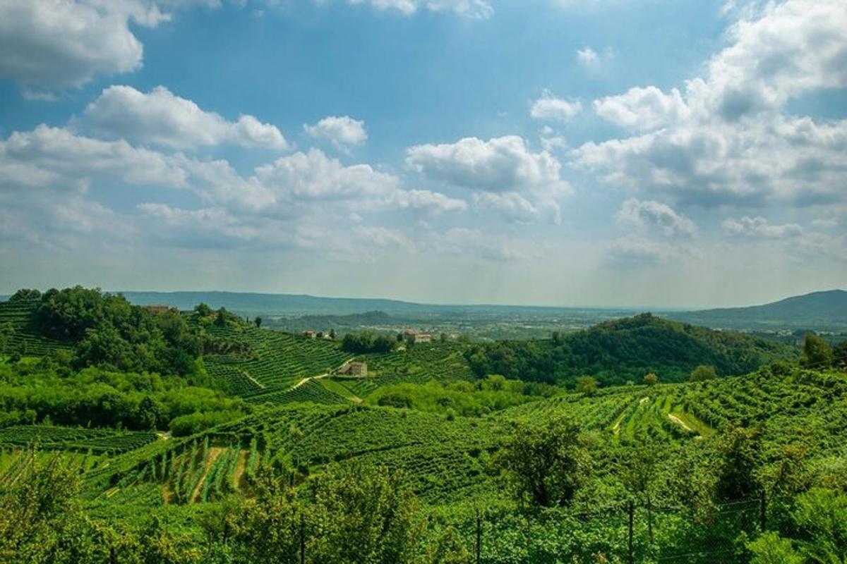 a view of a green valley with trees and mountains