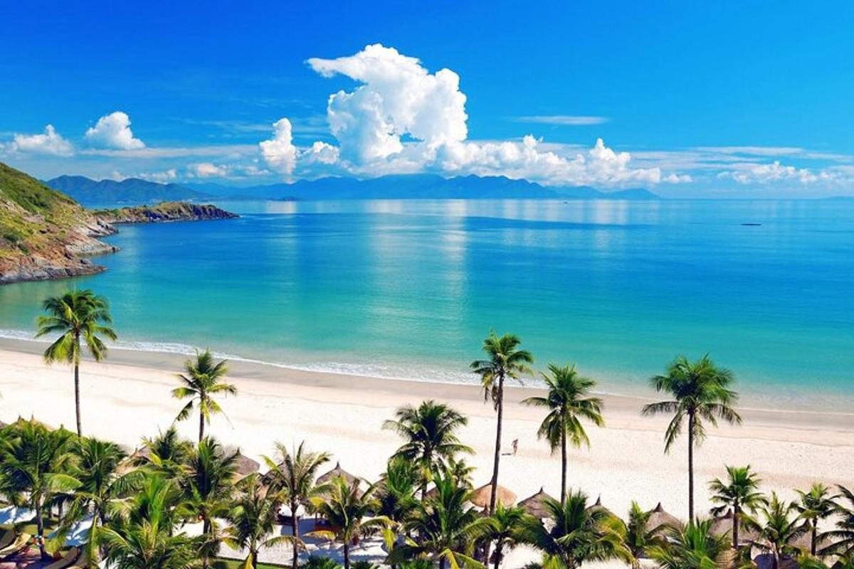 una vista di una spiaggia con palme e l'oceano
