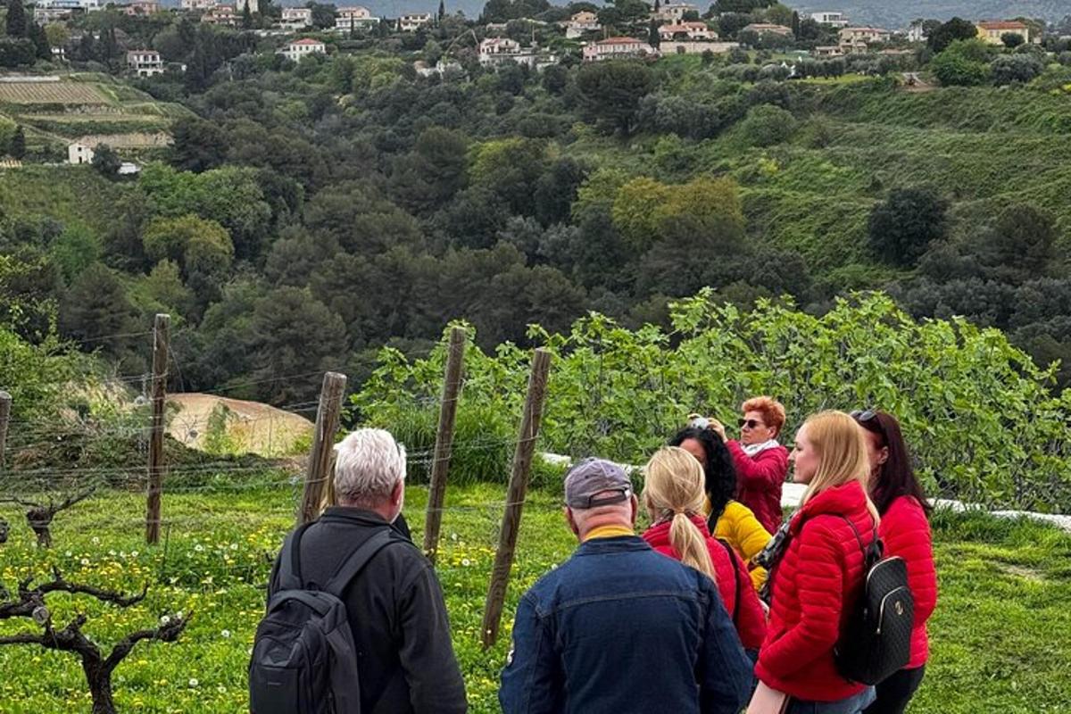 un grup de persones dretes en un turó mirant una vinya