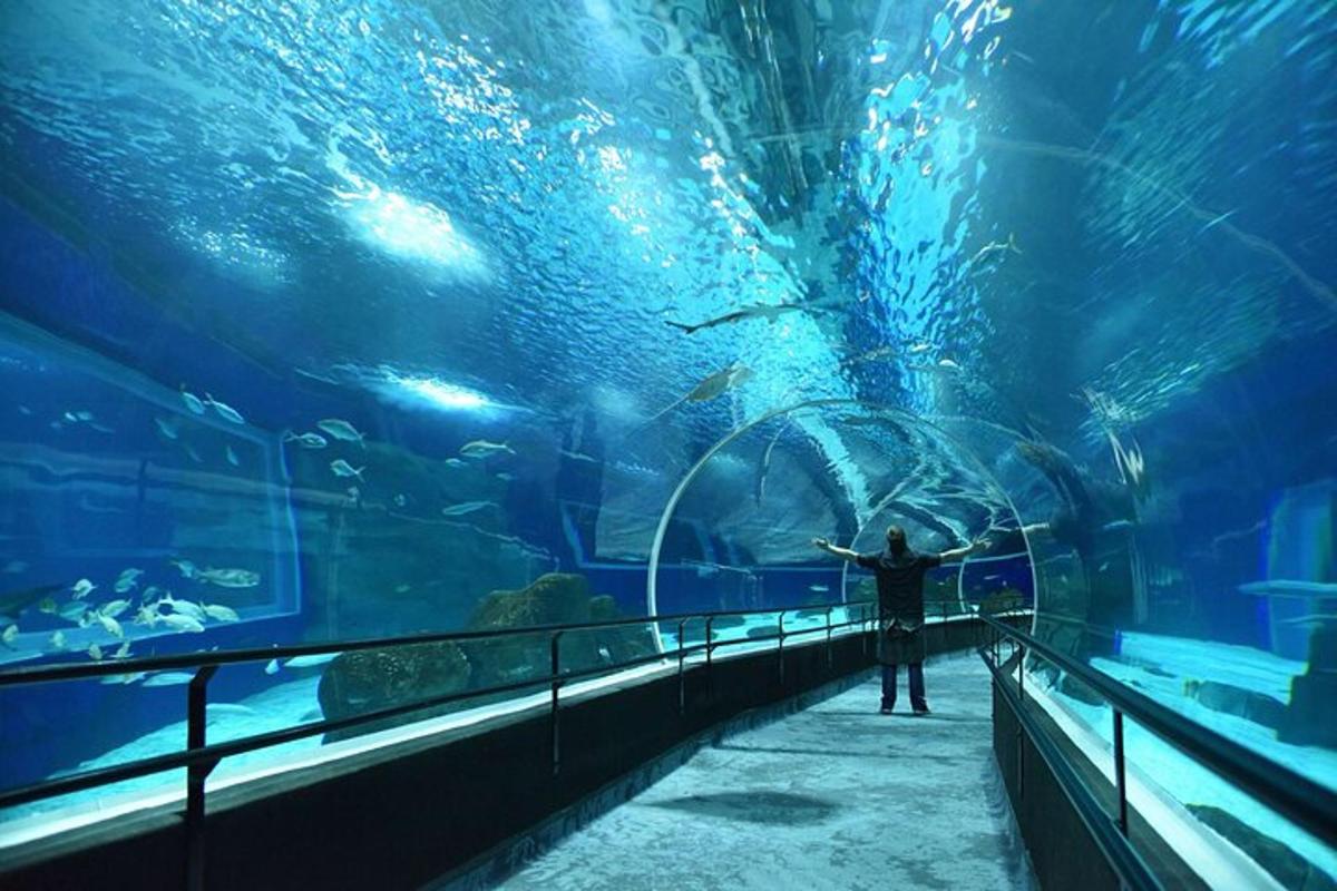 Un hombre parado frente a un gran acuario.