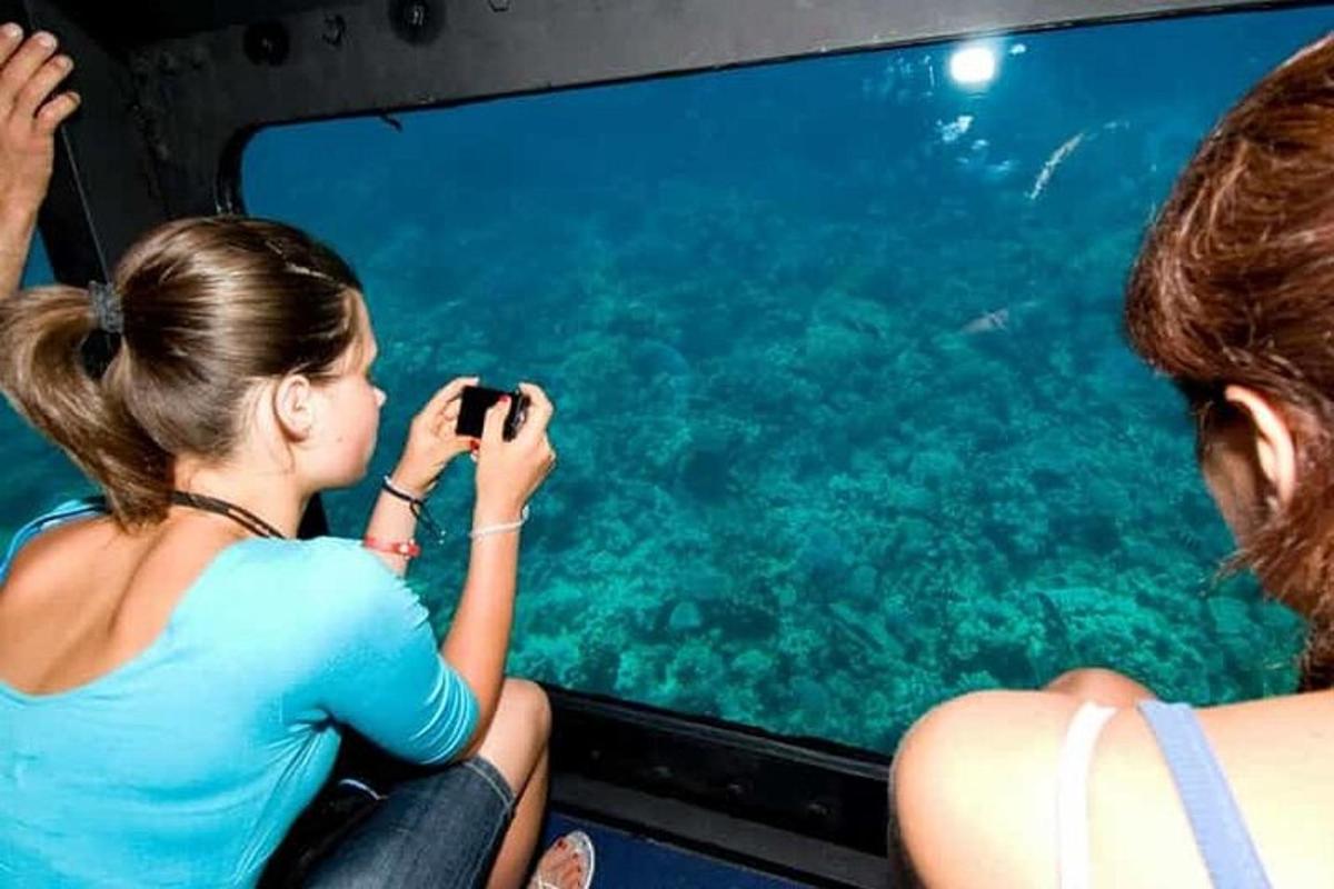 seorang wanita mengambil gambar ikan di lautan