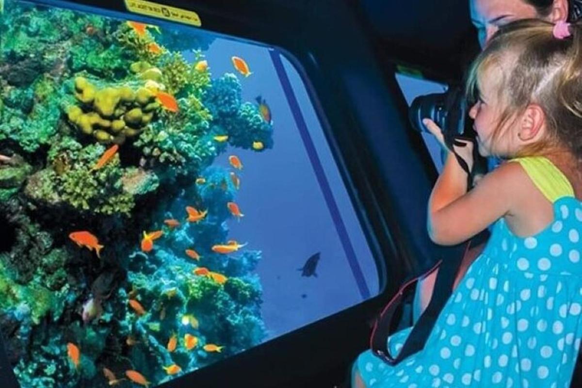 seorang gadis kecil mengambil gambar akuarium