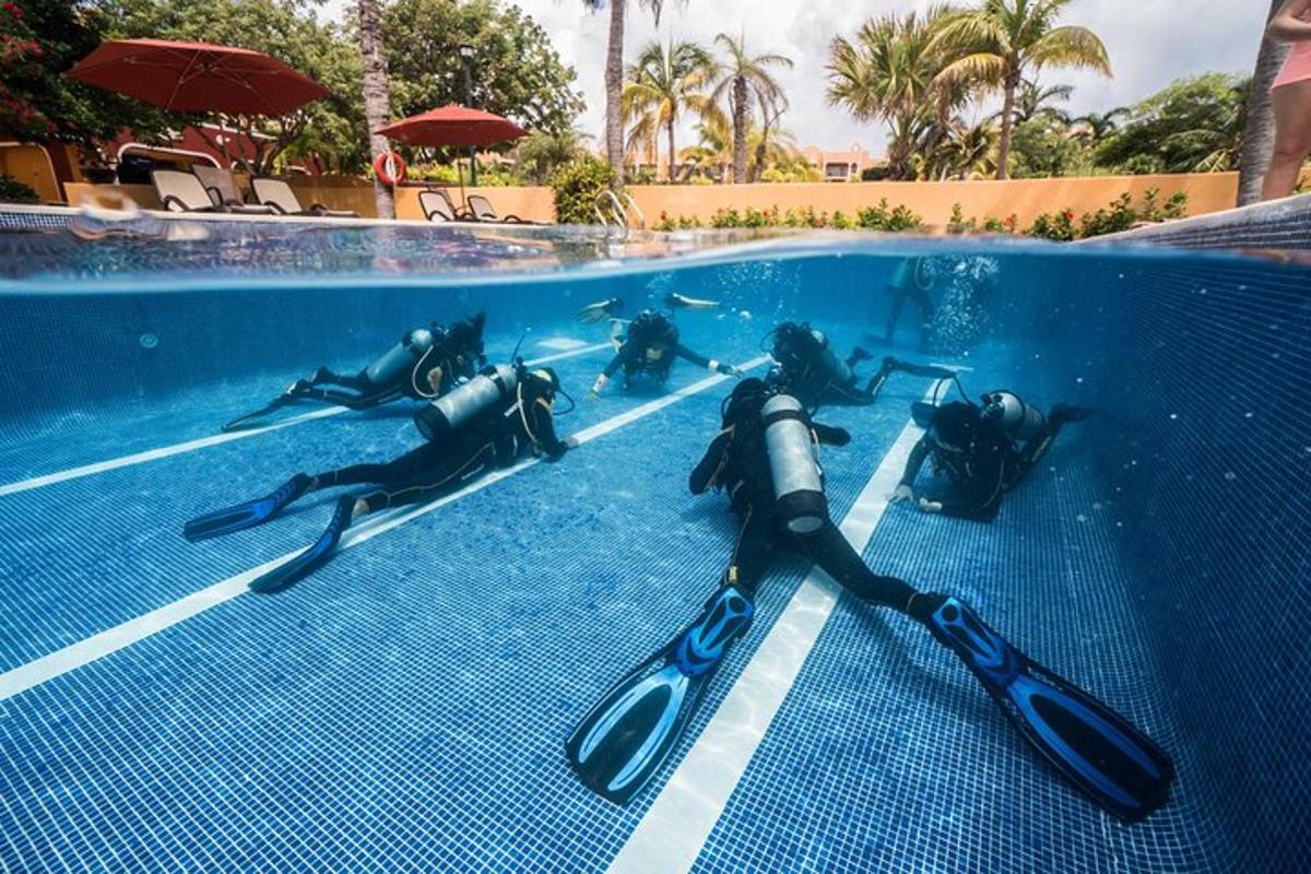 un grupo de personas nadando en una piscina