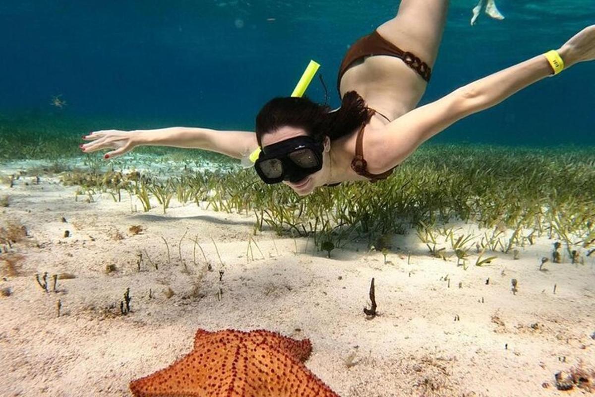 una donna che si tuffa nell'acqua dell'oceano