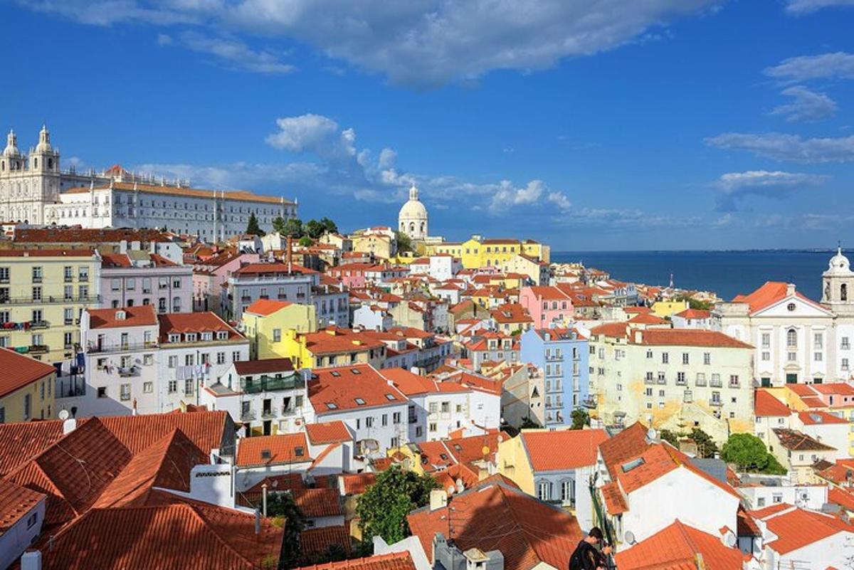 uma vista de uma cidade com casas e telhados