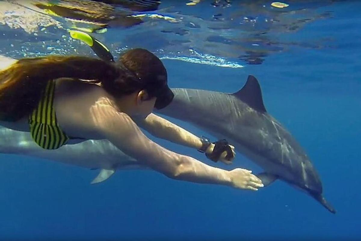 a woman swimming with a whale shark in the water