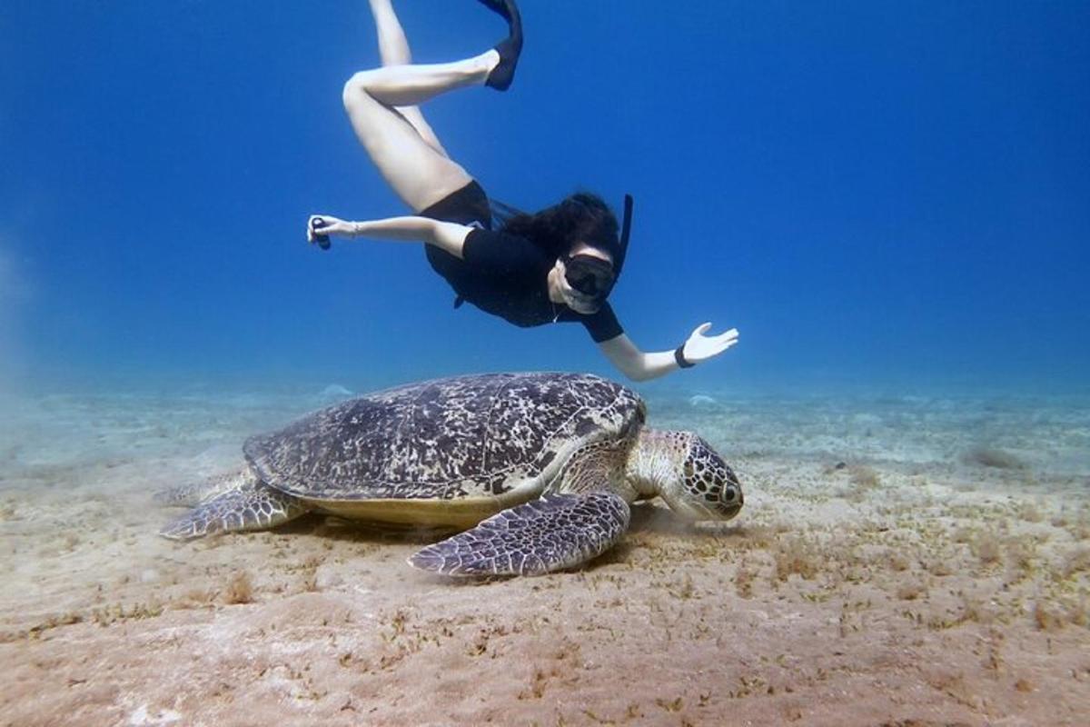 Žena skáče přes želvu v oceánu