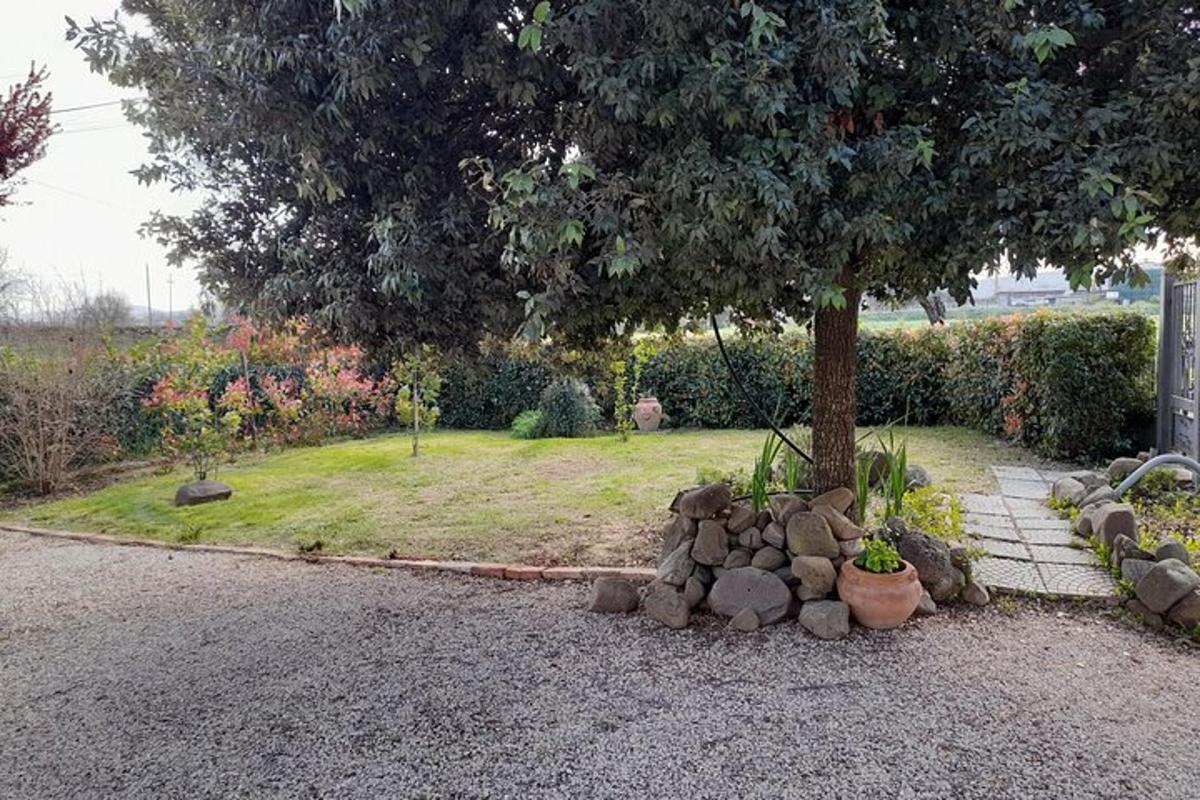 a pile of rocks sitting next to a tree
