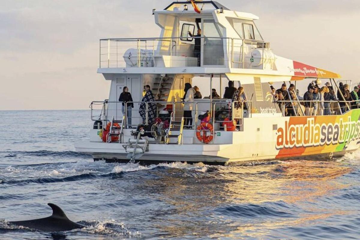 un delfin înoată în fața unei bărci