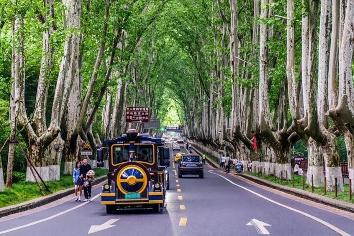 a train driving down a road with trees on it