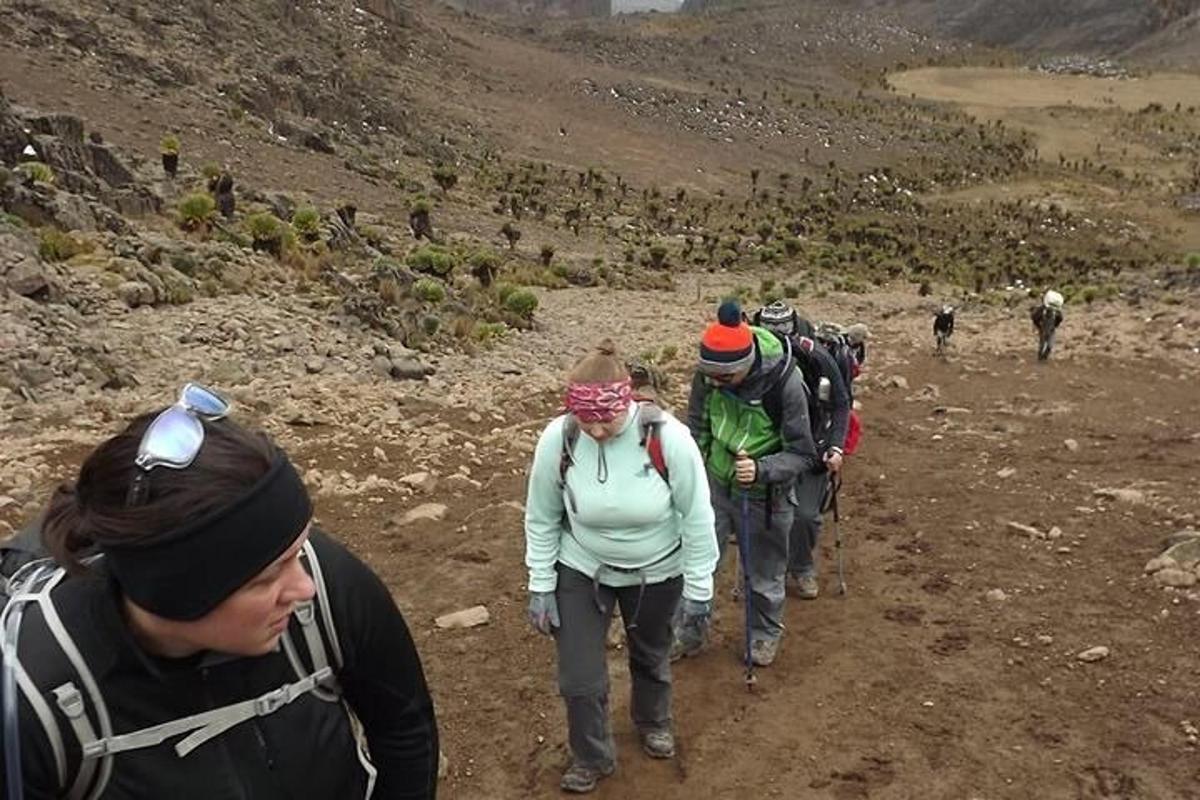 a group of people walking down a dirt trail