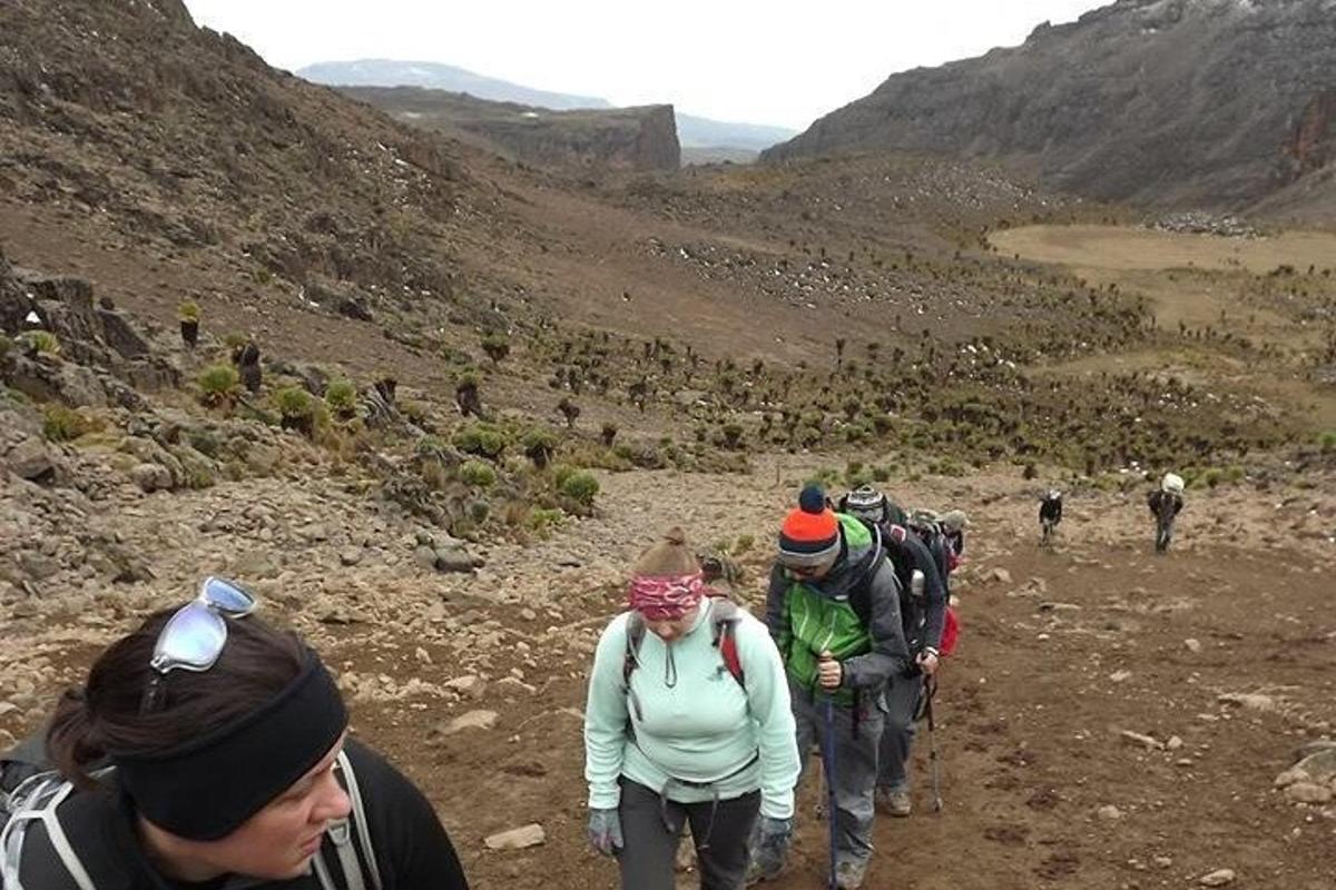 a group of people walking on a mountain trail
