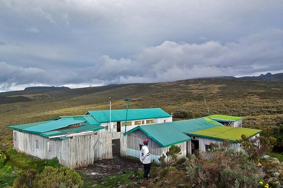 a person standing in front of a building with blue roofs