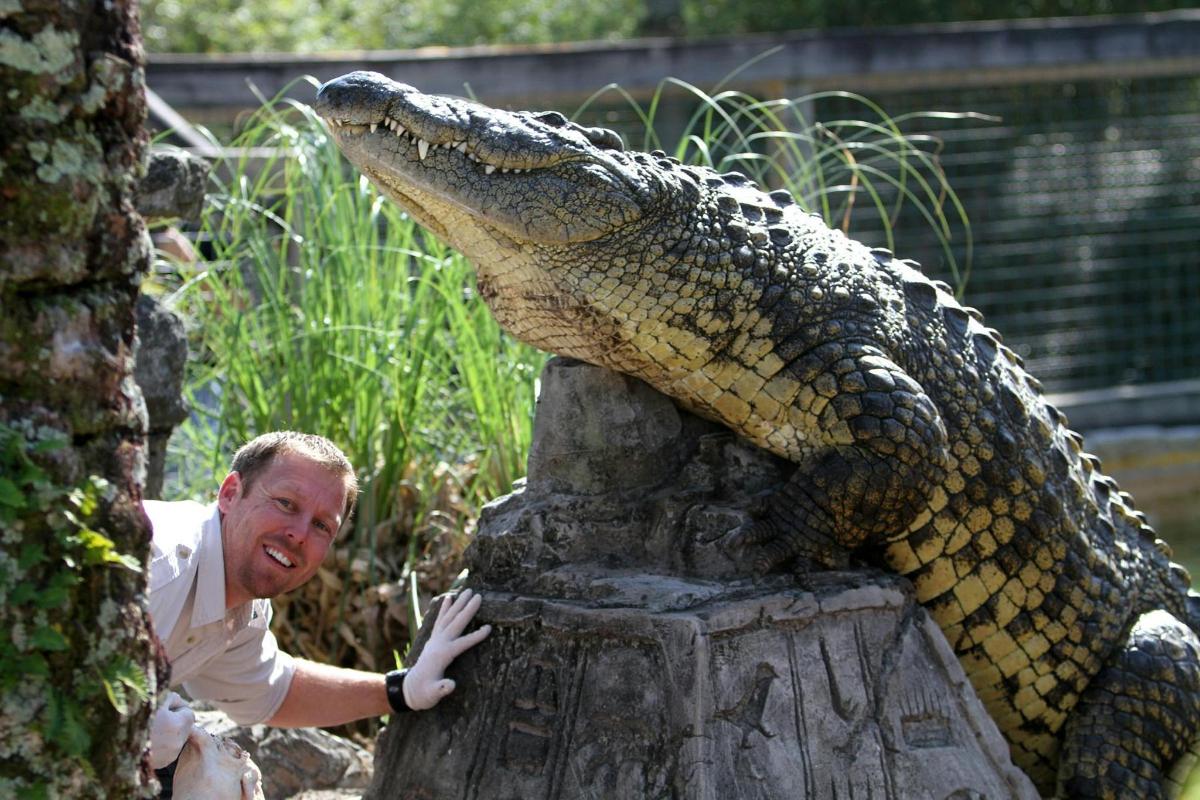 een man die naast een krokodil op een standbeeld staat