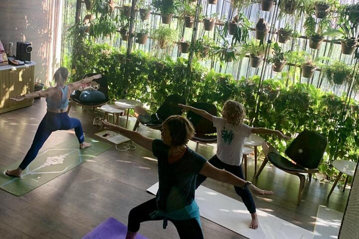 en gruppe mennesker som gjør yoga i et rom