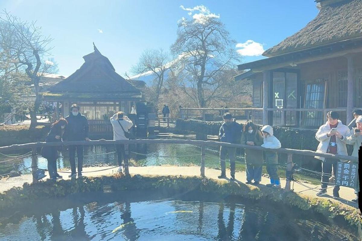 sekumpulan orang berdiri di sekeliling kolam di zoo