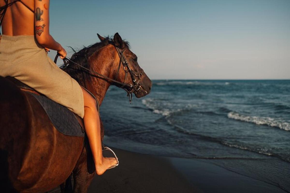 una dona muntant a cavall a la platja