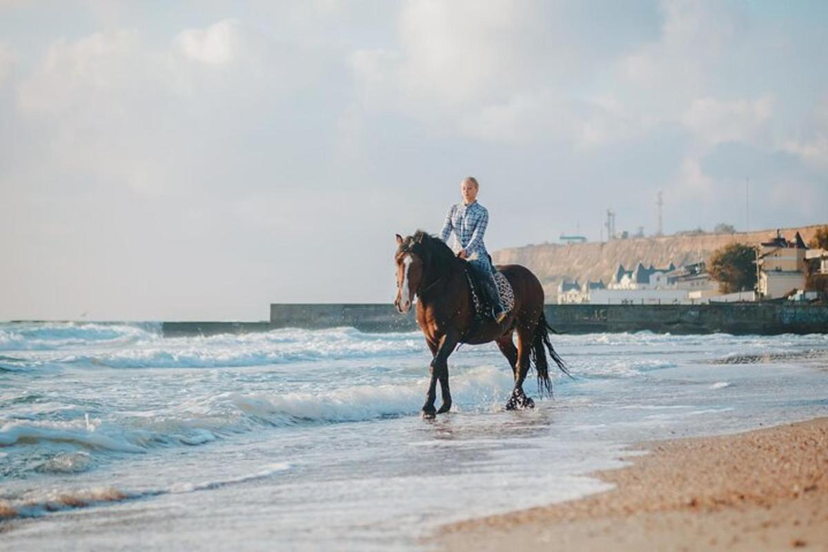 浜辺で馬に乗っている人