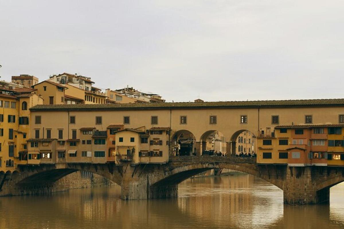 a bridge over a river with houses and buildings