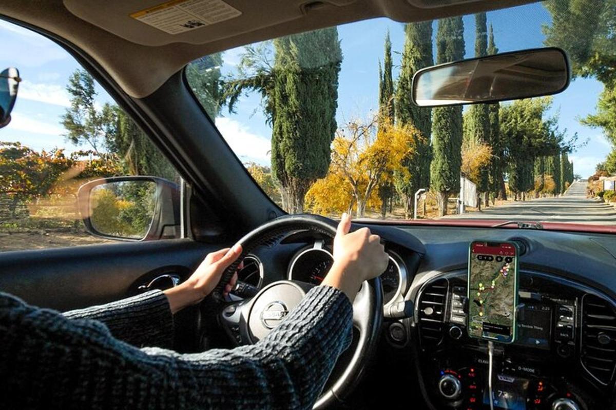 una mujer conduciendo un coche en una carretera