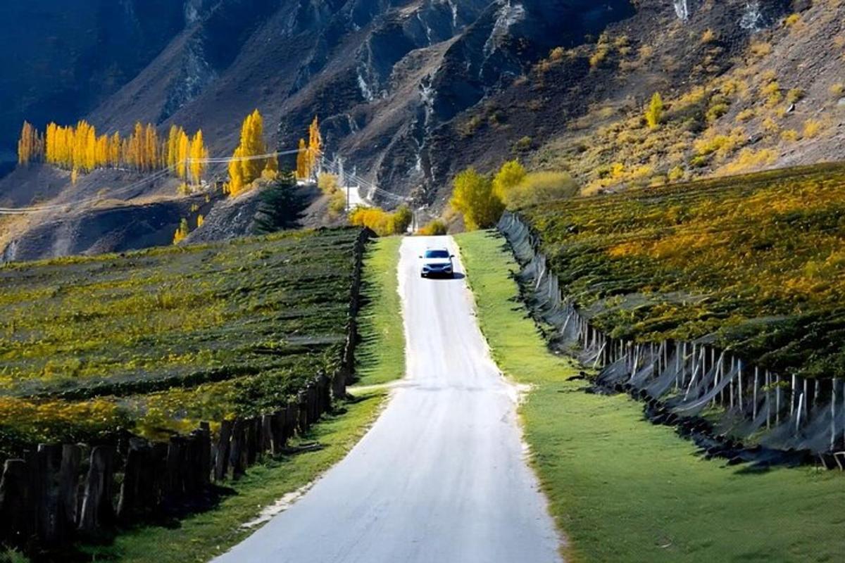 una carretera con coches aparcados en la ladera de una montaña