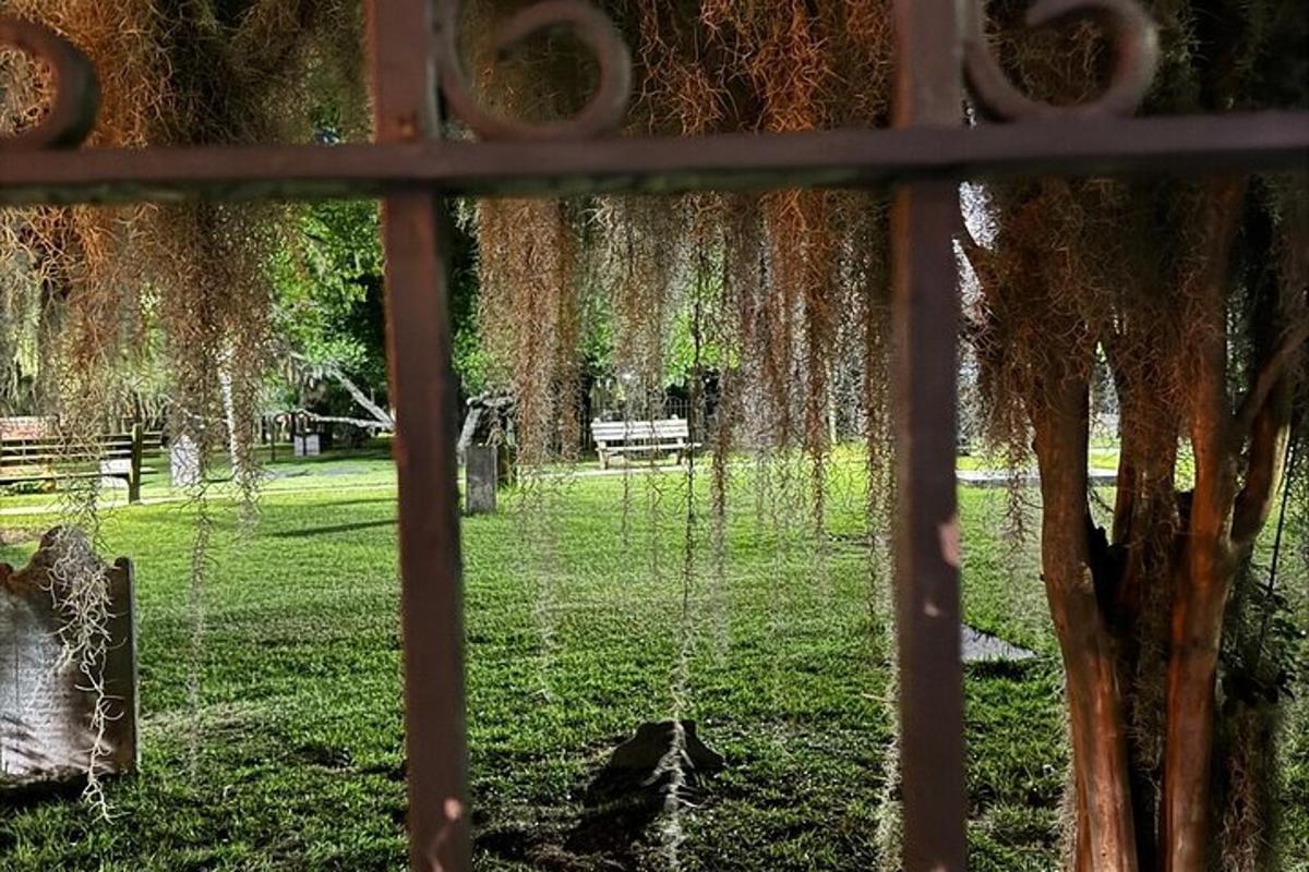 a swing in a park with a tree