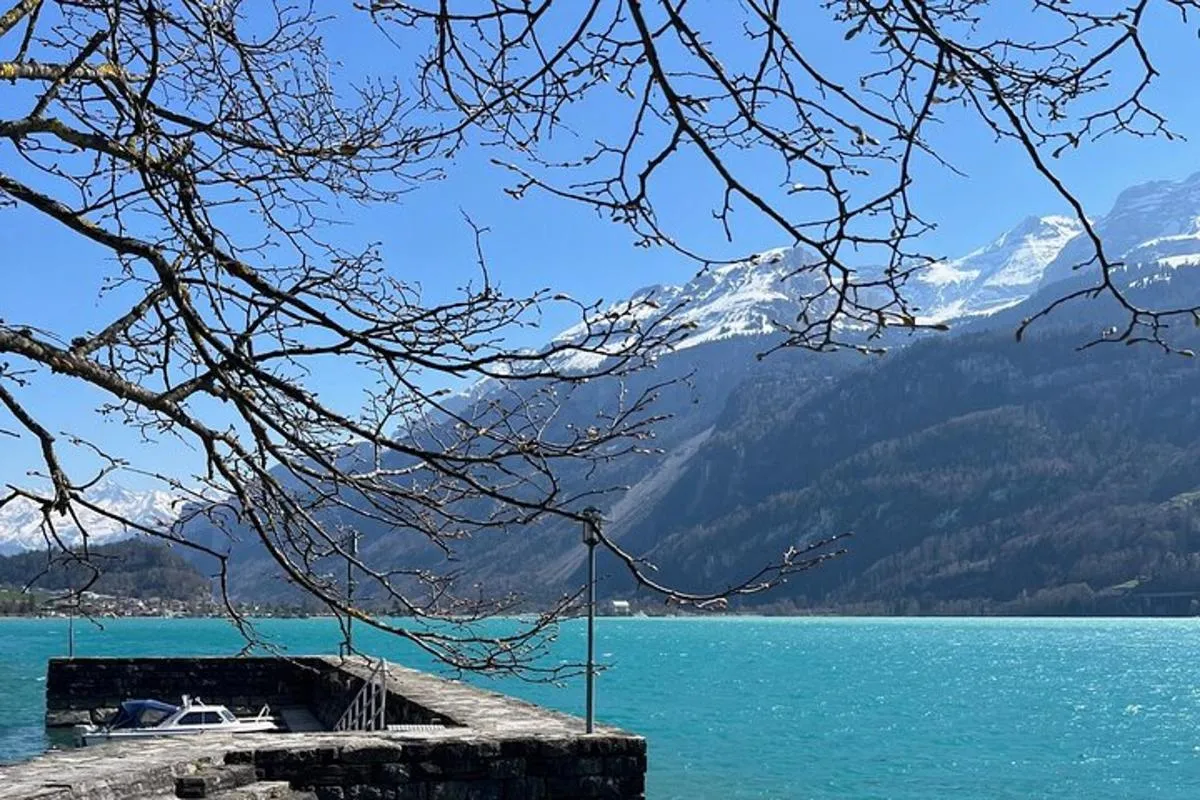 Visite privée. Belle Suisse. Alpes, Lacs, Villages – photo 2
