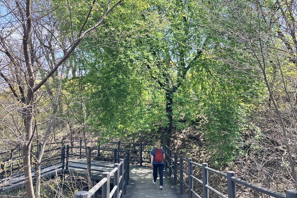 eine Person, die im Wald auf einer Brücke geht