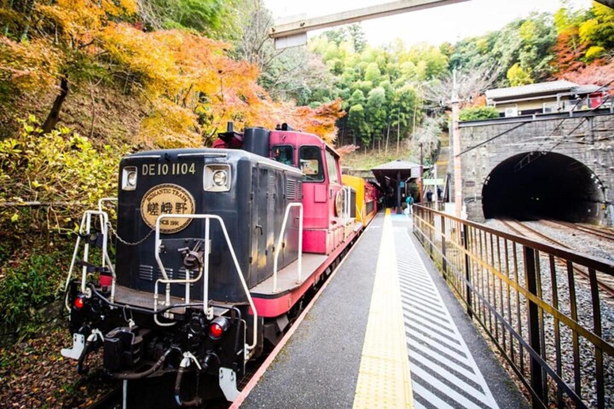 un tren iese dintr-un tunel