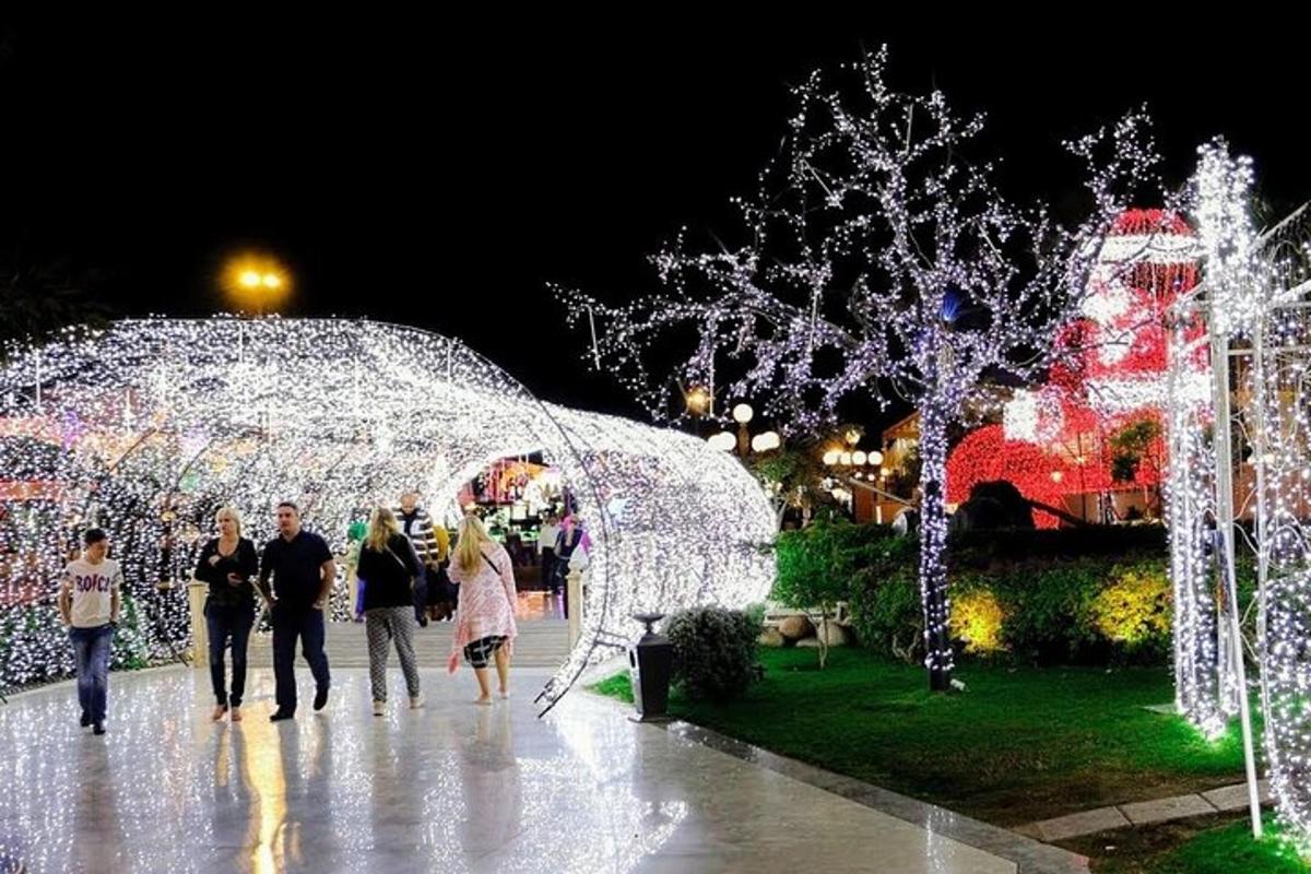 un groupe de personnes marchant dans un parc avec des lumières de Noël