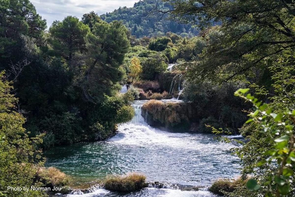 um rio com uma cachoeira em uma floresta
