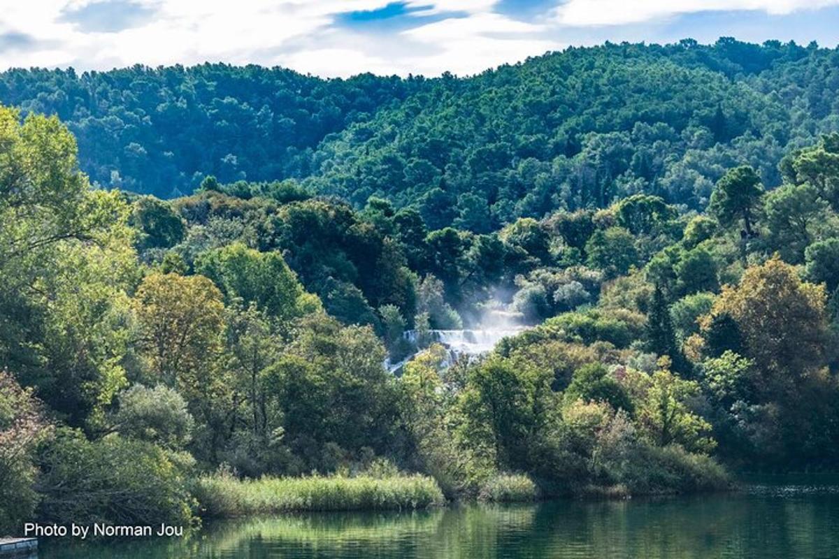 uma vista de um rio com árvores e uma montanha