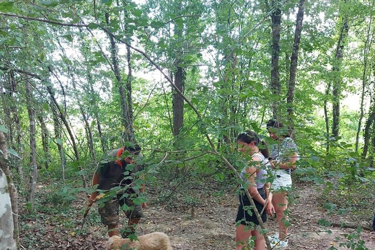 un gruppo di bambini in piedi nel bosco