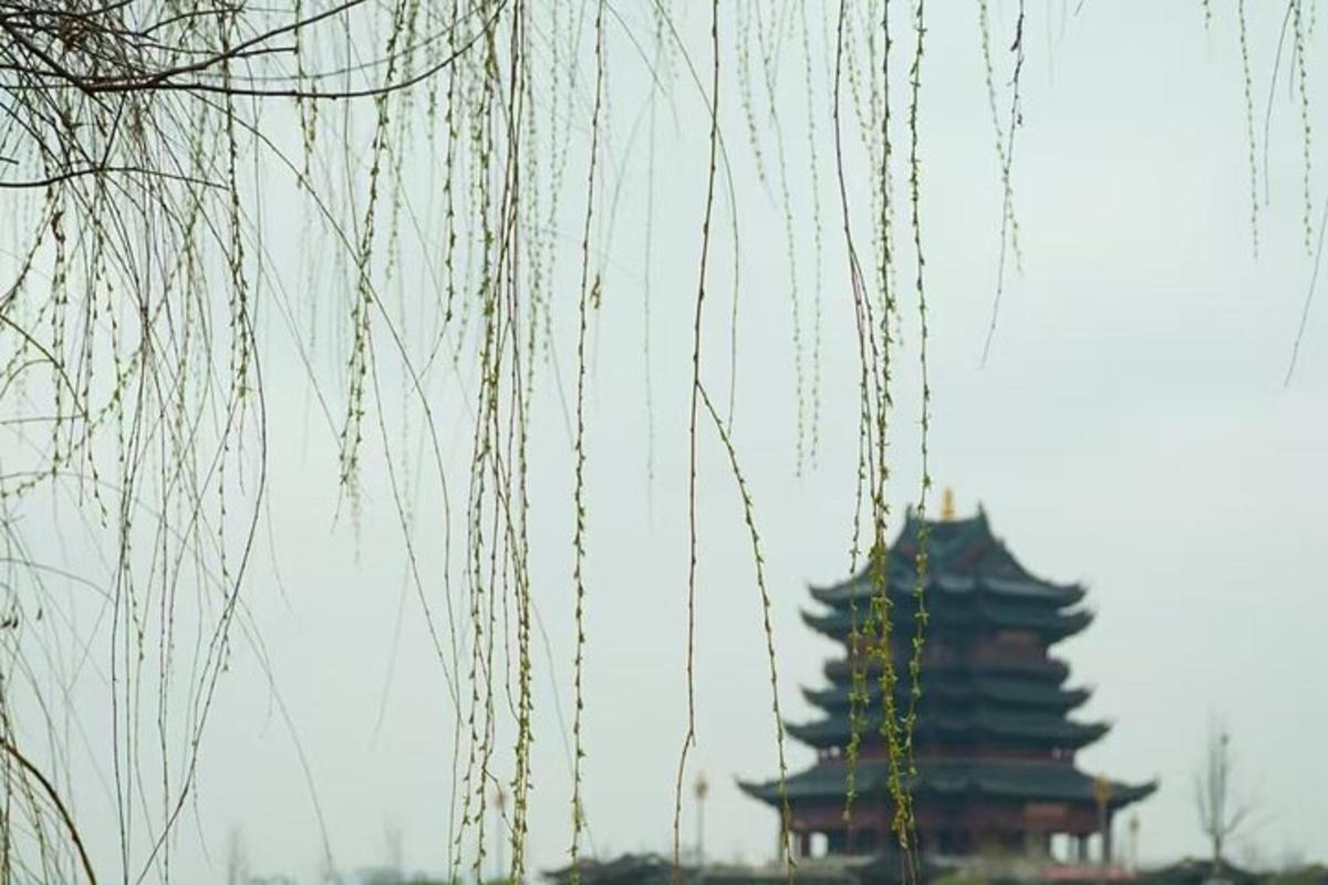 背景中有一座宝塔，上面有一些树枝