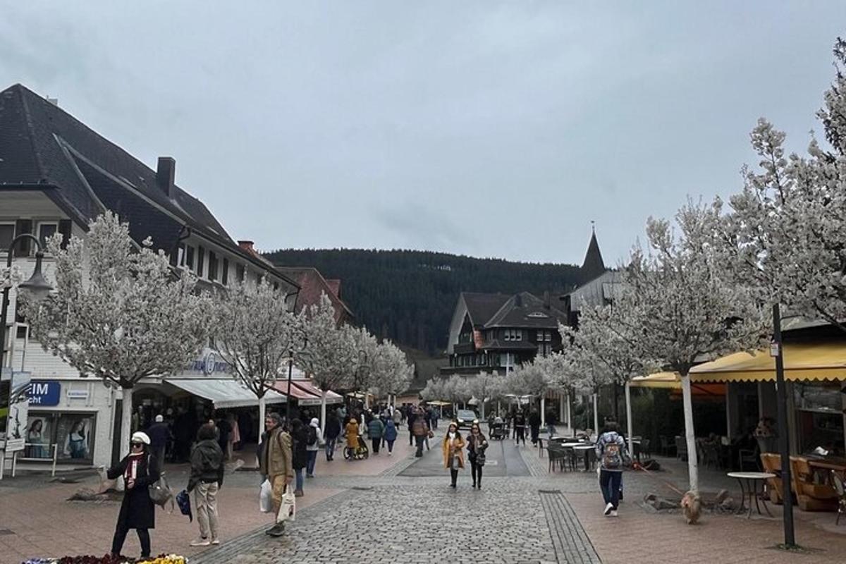 skupina lidí jdoucích po ulici ve městě