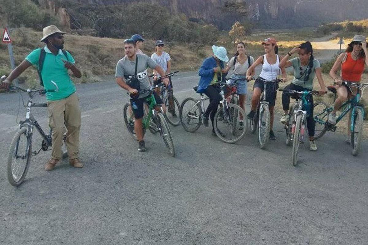 a group of people riding bikes on a road