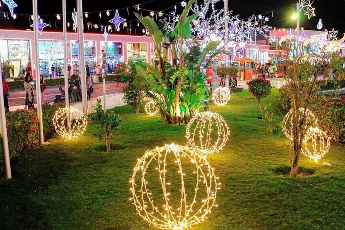o grădină decorată cu luminițe de Crăciun într-un parc