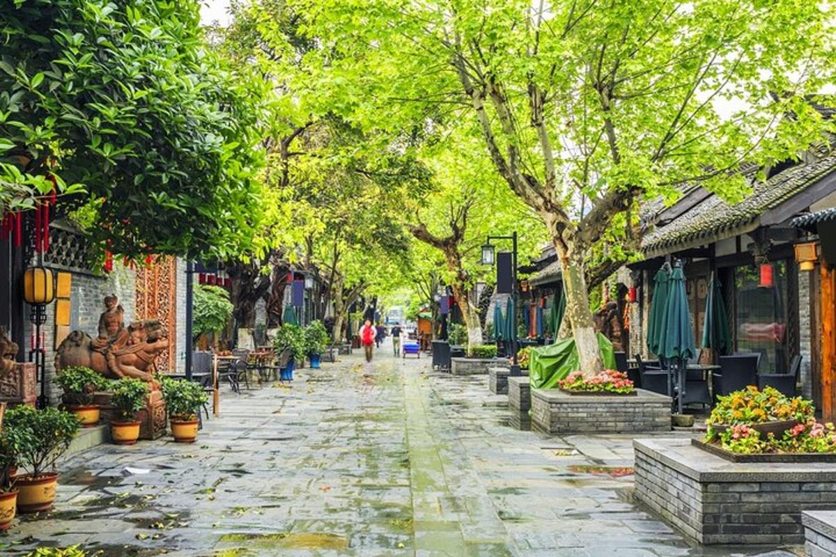 a cobblestone street with trees and a person walking down it