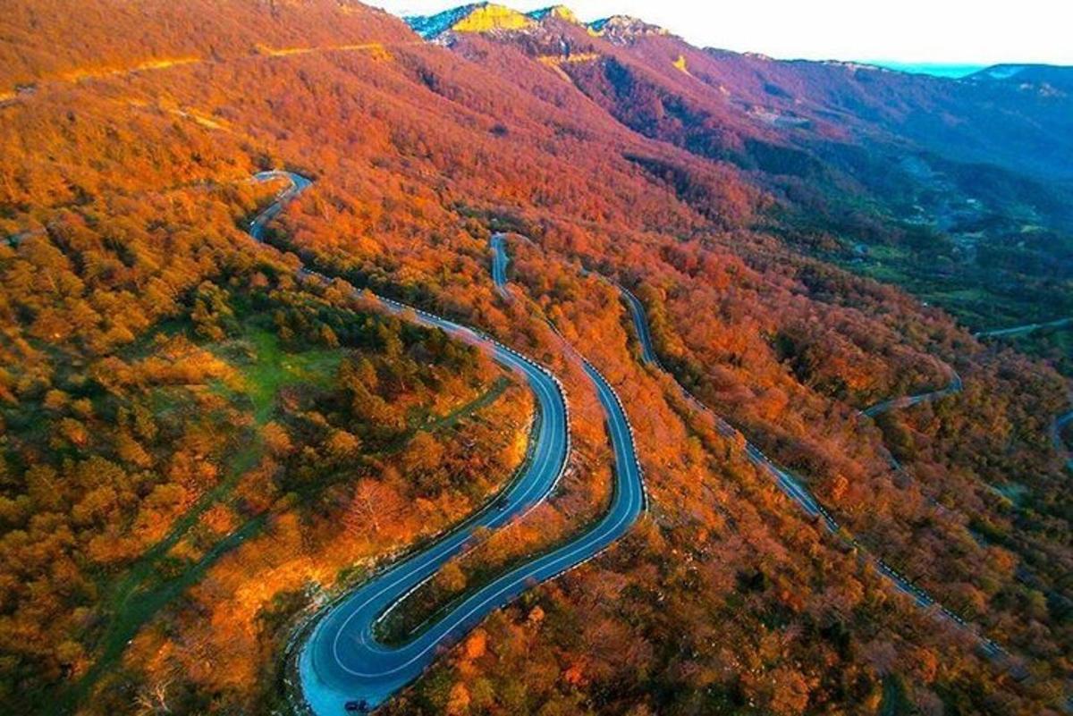 zračni pogled na vijugasto cesto v gozdu